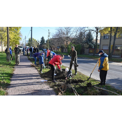 Közel kétszáz facsemetével gazdagodott városunk Közel kétszáz facsemetével gazdagodott városunk