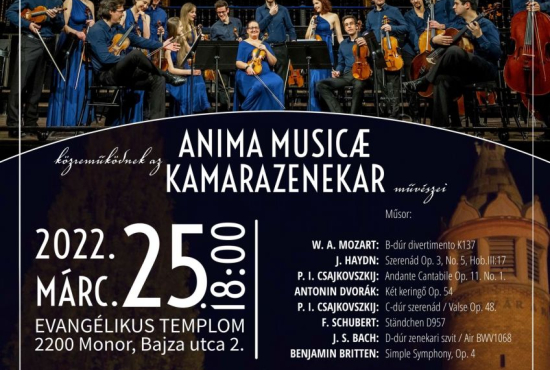 Anima Musicae koncert