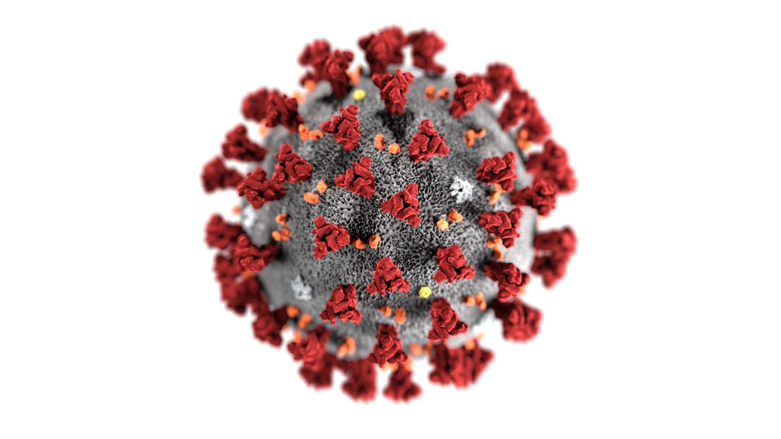 Tájékoztatás a koronavírus járvány alatt segítségre szoruló személyek részére!