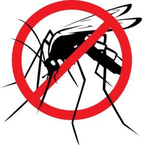 ELMARAD! - Tájékoztatás földi szúnyoggyérítésről